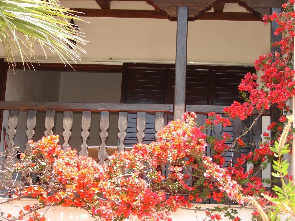 Villa Frideriki 圣帕拉斯凯维 客房 照片